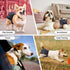 Pack 3, Reusable Dog Diapers Female Washable, Premium Doggie Diaper for Dogs, of Highly Absorbent Extra Large Dog