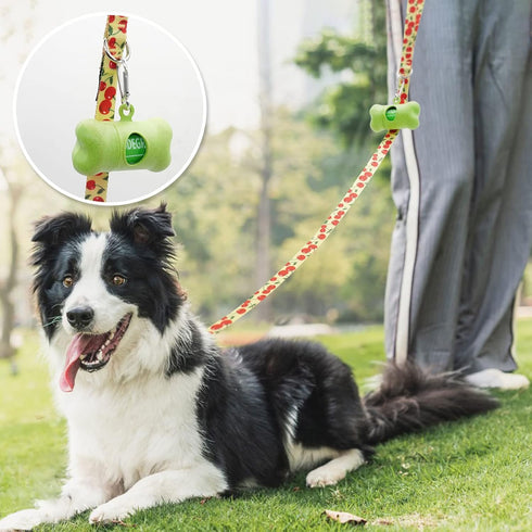 azuza 3 Pack Fruit Design Nylon Dog Leashes, Strong & Durable Basic Leash for Small Dogs, 6FT, 5/8"