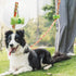 azuza 3 Pack Fruit Design Nylon Dog Leashes, Strong & Durable Basic Leash for Small Dogs, 6FT, 5/8"