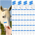 LIUBUJINGYING 48 Trimmer Pcs Horse Clippers Horse Grooming Razor Disposable Grooming Razor Horse Shaver Kit Fit
