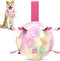 QDAN Soccer Ball Dog Toys - Gradient Interactive Tug of War, 8 Inch Durable Water Toy for Small & Medium Dogs