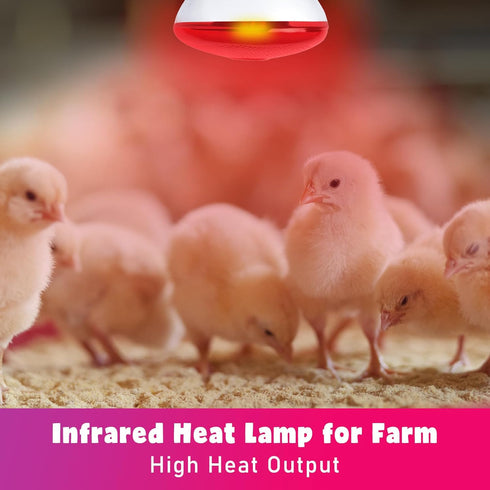 250 Bulb 1 Pack, Bulb LUCKY HERP Infrared Heat Lamp for Chickens - Watts Red Heat Lamp Heat Light for Brooder Coop