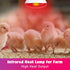 250 Bulb 1 Pack, Bulb LUCKY HERP Infrared Heat Lamp for Chickens - Watts Red Heat Lamp Heat Light for Brooder Coop