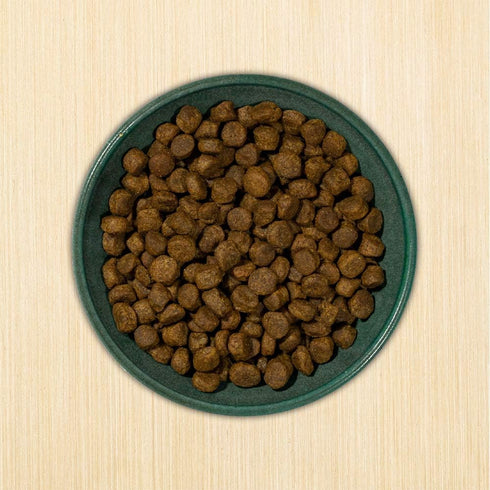 Annamaet Grain-Free Re-Juvenate Senior Dry Dog Food, Fresh Silver Carp & Turkey, 5-lb Bag, Brown