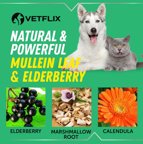 Kennel Cough Treatment for Dogs & Cats, Made in USA, Mullen Leaf & Elderberry Blend, 2 Fl Oz
