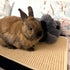 (4Pcs, 23.6 15.7 inches) PODOO Bunny Scratch Pads, Sisal Rabbit Scratching Pad, Natural Rabbit Resting Mats for Cages