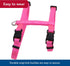 Coastal Pet Adjustable "H" Cat Harness - Comfortable Outdoor Cat Supply - Secure Snap-Lock Buckles - Red, 3/8" x 10"-18"