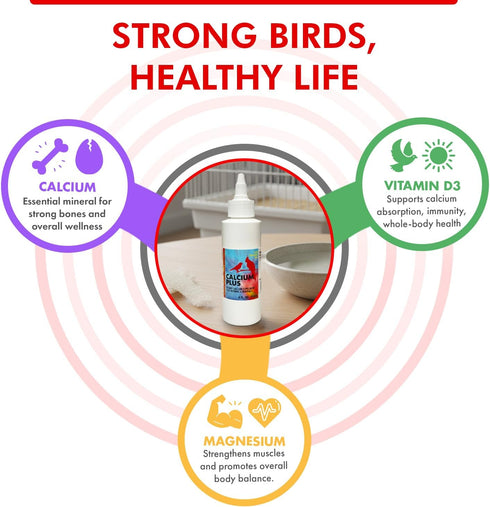 4 Oz Morning Bird Calcium Plus Liquid for Birds Calcium Supplement with Vitamins and Minerals for Strong Eggshells