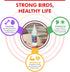 4 Oz Morning Bird Calcium Plus Liquid for Birds Calcium Supplement with Vitamins and Minerals for Strong Eggshells