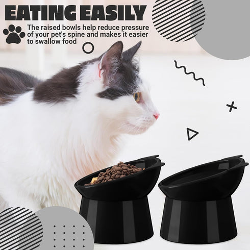 Zhehao 2 Pieces Plastic Raised Bowl Set, Tilted 15 Degrees Elevated Cat Food and Water Bowls for Small Dogs