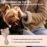 Cat-Ear Design Puppy Brush, Gentle Soft-Bristle Small Dogs Plastic Detangling Grooming Tool, Fit for Yorkie Shih Tzu