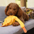 Recommended 21 INCH FGA MARKETPLACE Duck Flat NO Stuffing NO Squeak Plush Dog Toy, Funny Style Will Entertain Your Pet