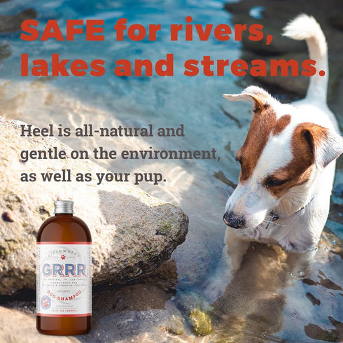 Heel's New Name - GRRR. Natural Dog Shampoo with Lavender Essential Oils for Itchy Skin, Hot Spots, Pet Odor, 12 ounces