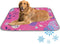 imiBBWQu Cooling Pad Easter Eggs Water Cooler Mat Washable Forever Cool Pad Cooling