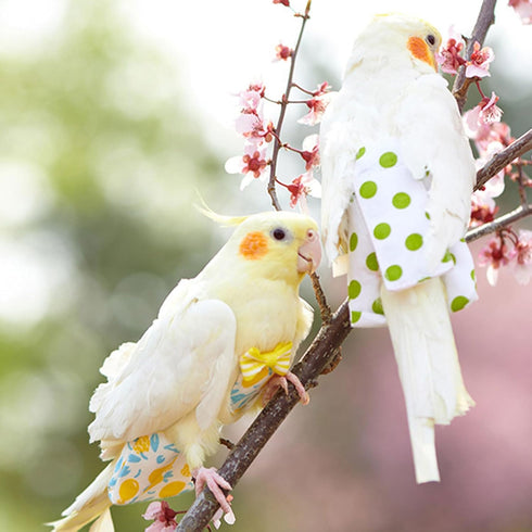 Rooyar Reusable Bird Diaper Washable Flight Suit for Parrot Adjust Parrot Diaper Costume Fly Training Suit