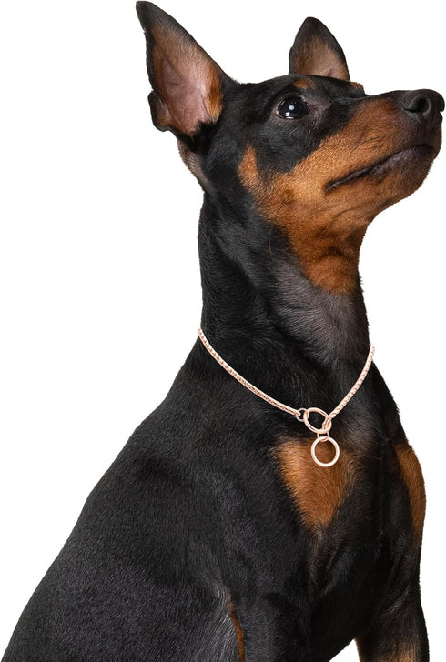 Mogoko Stainless Steel Dog Choke Chain Collar, Puppy Metal Snake Chain Pet Show Slip Collar Choker for Training Walking (Rose Gold;20.0"*4.0mm)