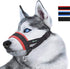 Dog Muzzle for Small, Medium, Large Dogs, Prevent from Biting, Barking and Chewing, Adjustable Loop (M/Red)