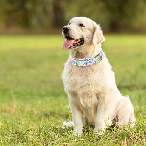 Martingale Collar for Dogs with Green Flowers Patterns, Adjustable Premium No Slip Collar for Training