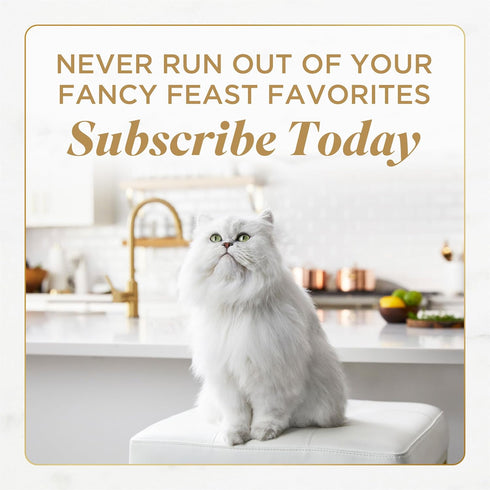 (Pack 24) 3 oz. Purina Fancy Feast Savory Centers With Beef Wet Cat Food Pate with Gourmet Gravy Center - of Cans