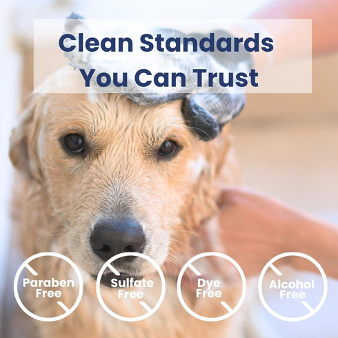 16 oz, Dog Shampoo & Conditioner with Oatmeal, Aloe & Coconut All-in-One for Long, Curly, Short & Wavy Coats, Sensitive