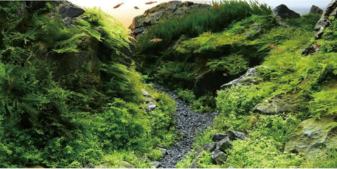 AWERT 72x18 inches Seagrass Aquarium Background, Aquatic Plant River Bed & Lake Fish Tank Vinyl Background