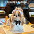 4.4-6.6 lbs Elegant Lace Cat Collar, Adjustable Pet Bow Tie Bib for Small Dogs and Cats, Cute Princess Pearl Scarf