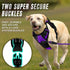 BARKBAY No Pull Dog Harness, Front Clip Heavy Duty Reflective Easy Control Handle for Large Dogs (Purple, S)