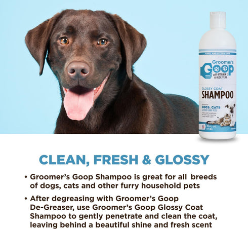 Groomer's Goop Glossy Coat Pet Shampoo - 16 oz Flip-Top Bottle for Shiny Fur