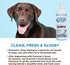 Groomer's Goop Glossy Coat Pet Shampoo - 16 oz Flip-Top Bottle for Shiny Fur