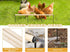 Neeenn Extra Long Chicken Perch Toys, Wooden Chick Perch Stand with Metal Ground Plug, Outdoor Birds Training Platform