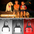 Outopest 3 IP65 Dog Lights for Night Walking, Clip on Dog Collar Light - Modes, USB-C Rechargeable, Waterproof, LED