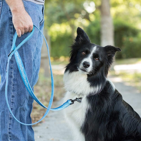 Leashboss 6ft Dog Leash - Ultra Comfort Double-Thick Soft Padded Handle, Reflective for Large Medium Dogs, Heavy Duty