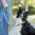 Leashboss 6ft Dog Leash - Ultra Comfort Double-Thick Soft Padded Handle, Reflective for Large Medium Dogs, Heavy Duty