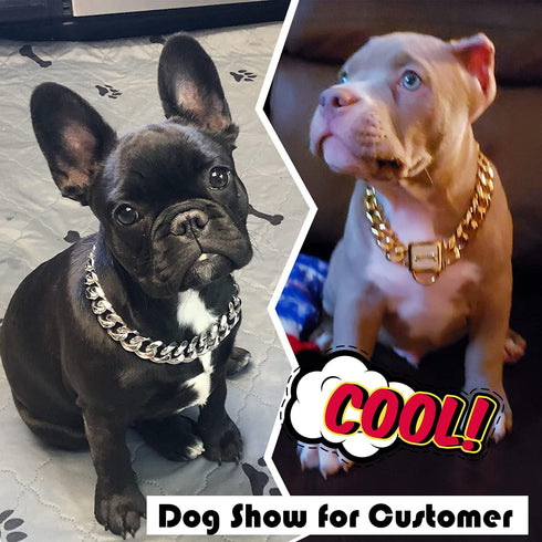 Dog Collar with Zirconia Locking 19MM Hand Polished Stainless Steel Metal Puppy Collar for Small Medium Dogs