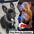 Dog Collar with Zirconia Locking 19MM Hand Polished Stainless Steel Metal Puppy Collar for Small Medium Dogs