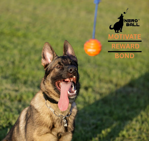 K-9 2.75 Nero Ball Pro Dog Training Ball on Rope Heavy-Duty Natural Rubber Reward & Tug Toy with Nylon Throw Handle