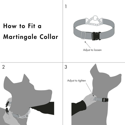Friends Forever Martingale Collars for Dogs - Reflective No Pull Dog Collar for Training Large/Medium Breed Dogs, Medium