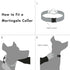 Friends Forever Martingale Collars for Dogs - Reflective No Pull Dog Collar for Training Large/Medium Breed Dogs, Medium