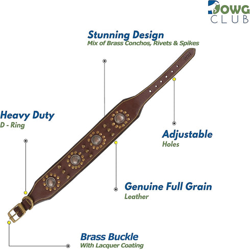 Punk Series Genuine Leather Dog Collar | Full Grain, Heavy Duty, Stylish, Comfortable for Medium, Large, XL Breeds (L)