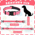 6 Pcs Reflective Dog Collar Soft Padded Breathable Nylon Pet Collar Adjustable Puppy Collar with Safety Locking Buckle for Dogs Cats Puppy Pets Accessories (Bright Color, Small)