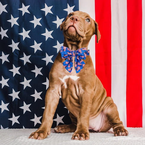 Maca Bates American Flag 4th of July Dog Collar, Adjustable Bow Tie for Small Medium Large XL Dogs, Patriotic Gift