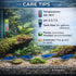 15+ Blue Dream Supreme Gene Shrimps Live Freshwater Shrimp Aquarium Neocaridina, Live Arrival Guarantee