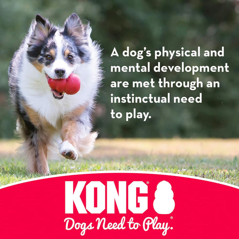 KONG Extreme Flyer and Extreme Goodie Bone - Tough Dog Toys for Power Chewers, for Large Dogs