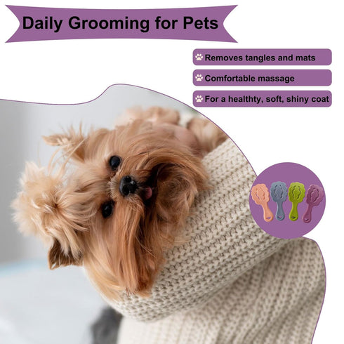 Cloud-Shaped Soft Bristle Puppy Brush for Small Dogs - Yorkie, Shih Tzu, Maltese, and Toy Poodles Grooming Tool