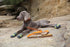 TRUE LOVE Reflective Dog Leash Puppy Walking Lead, Padded Chain Rope, Length 110cm, Orange, M