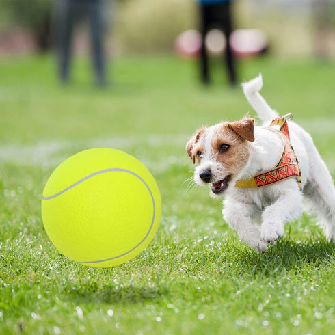 Pomeat 2 PCS Giant Tennis Balls for Dogs, 9.5" Inflatable Non-Toxic Chew Toy with Pump & Needle