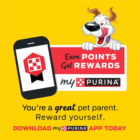 Purina Beggin' Strips - Bacon & Beef Flavored Dog Treats