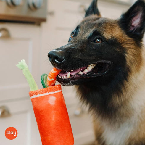 P.L.A.Y. PET LIFESTYLE AND YOU P.L.A.Y. Cute Plush Dog Toys - Brunch Food Themed Durable Squeaker Crinkle Chew Toy