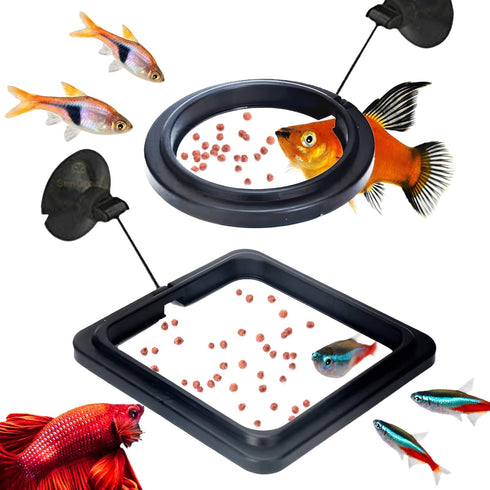 SunGrow 2 Betta Feeding Ring, Prevents Water Turbulence, Practical Round Floating Food for Guppy, Goldfish, Small Fish