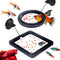 SunGrow 2 Betta Feeding Ring, Prevents Water Turbulence, Practical Round Floating Food for Guppy, Goldfish, Small Fish